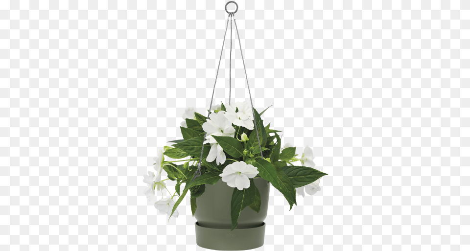 Flowerpot, Flower, Flower Arrangement, Flower Bouquet, Potted Plant Free Png