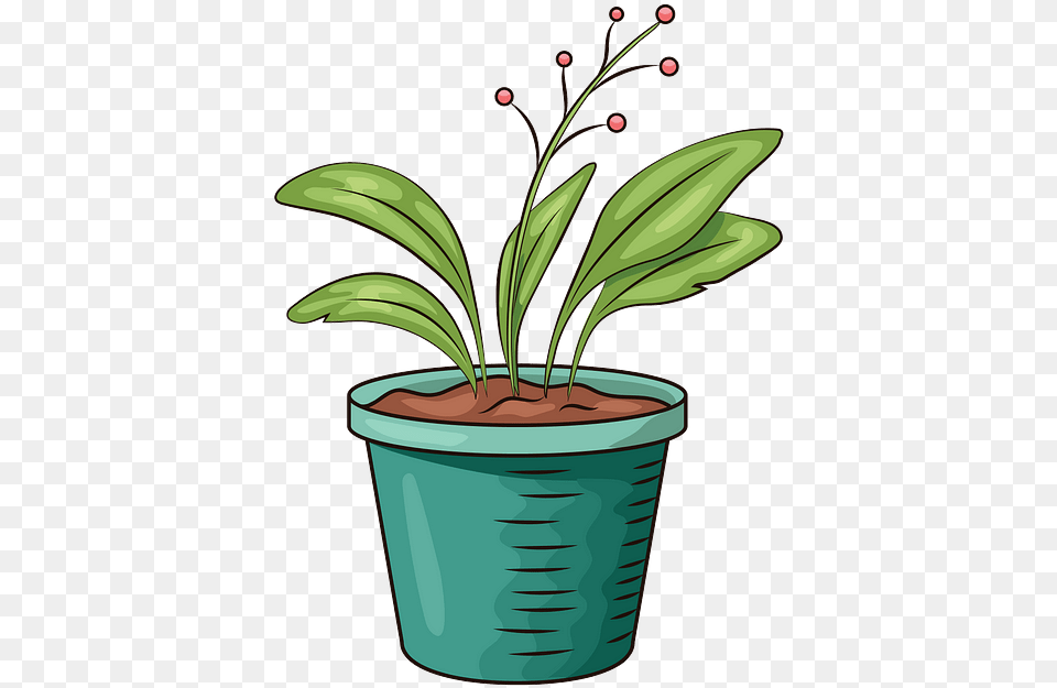 Flowerpot, Flower, Plant, Leaf, Flower Arrangement Png Image
