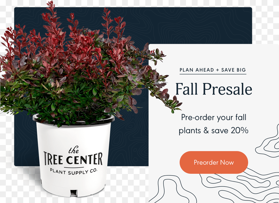 Flowerpot, Jar, Plant, Planter, Potted Plant Free Png Download