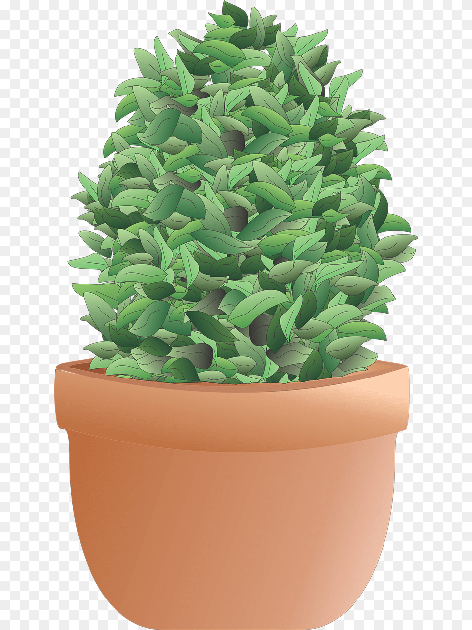 Flowerpot, Vase, Tree, Pottery, Potted Plant Png Image