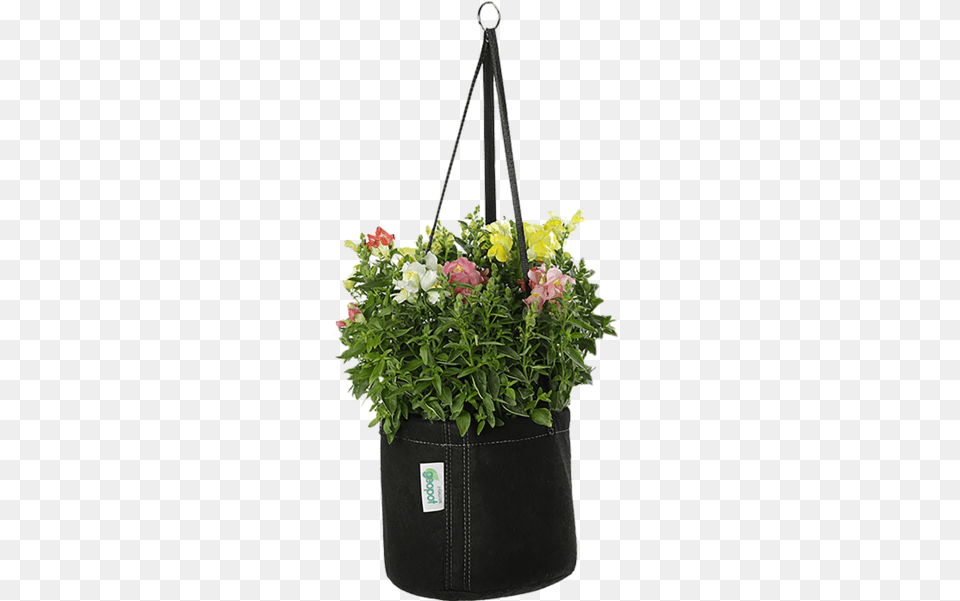 Flowerpot, Flower, Pottery, Potted Plant, Planter Free Transparent Png