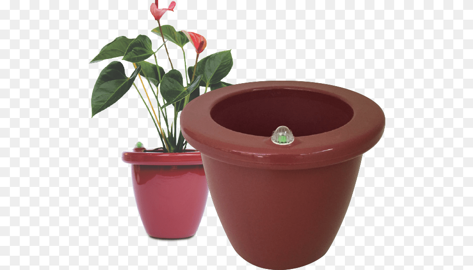 Flowerpot, Vase, Pottery, Potted Plant, Planter Png Image