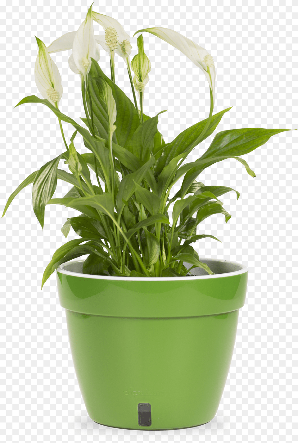 Flowerpot Png