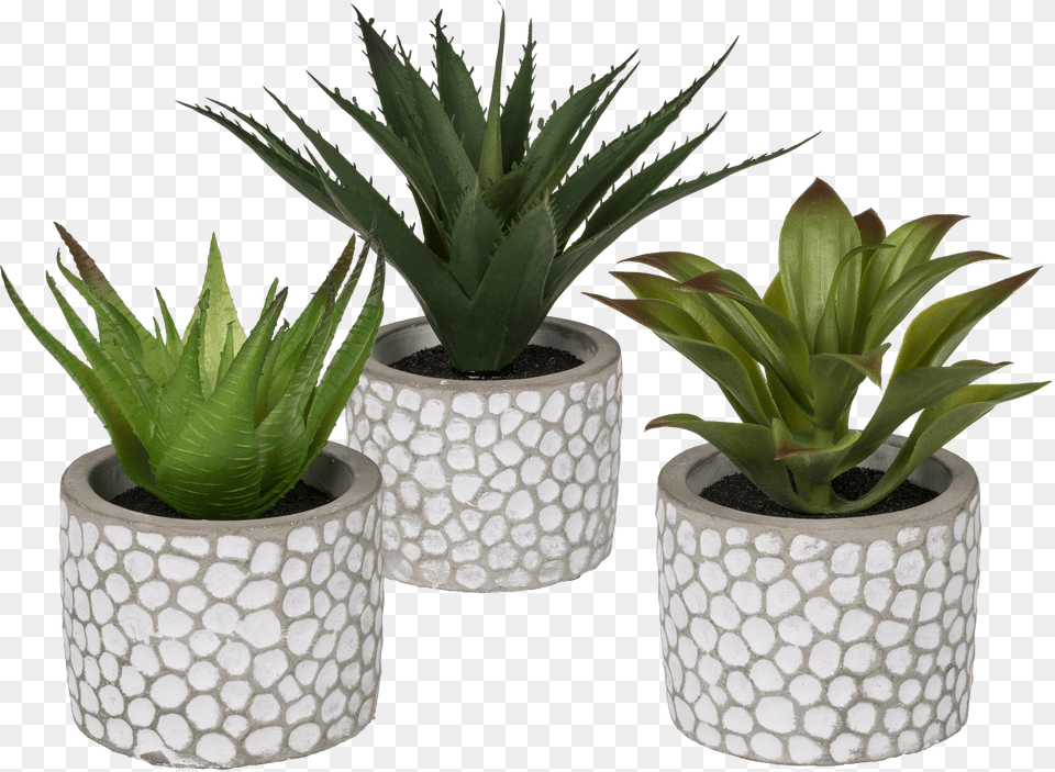 Flowerpot Png