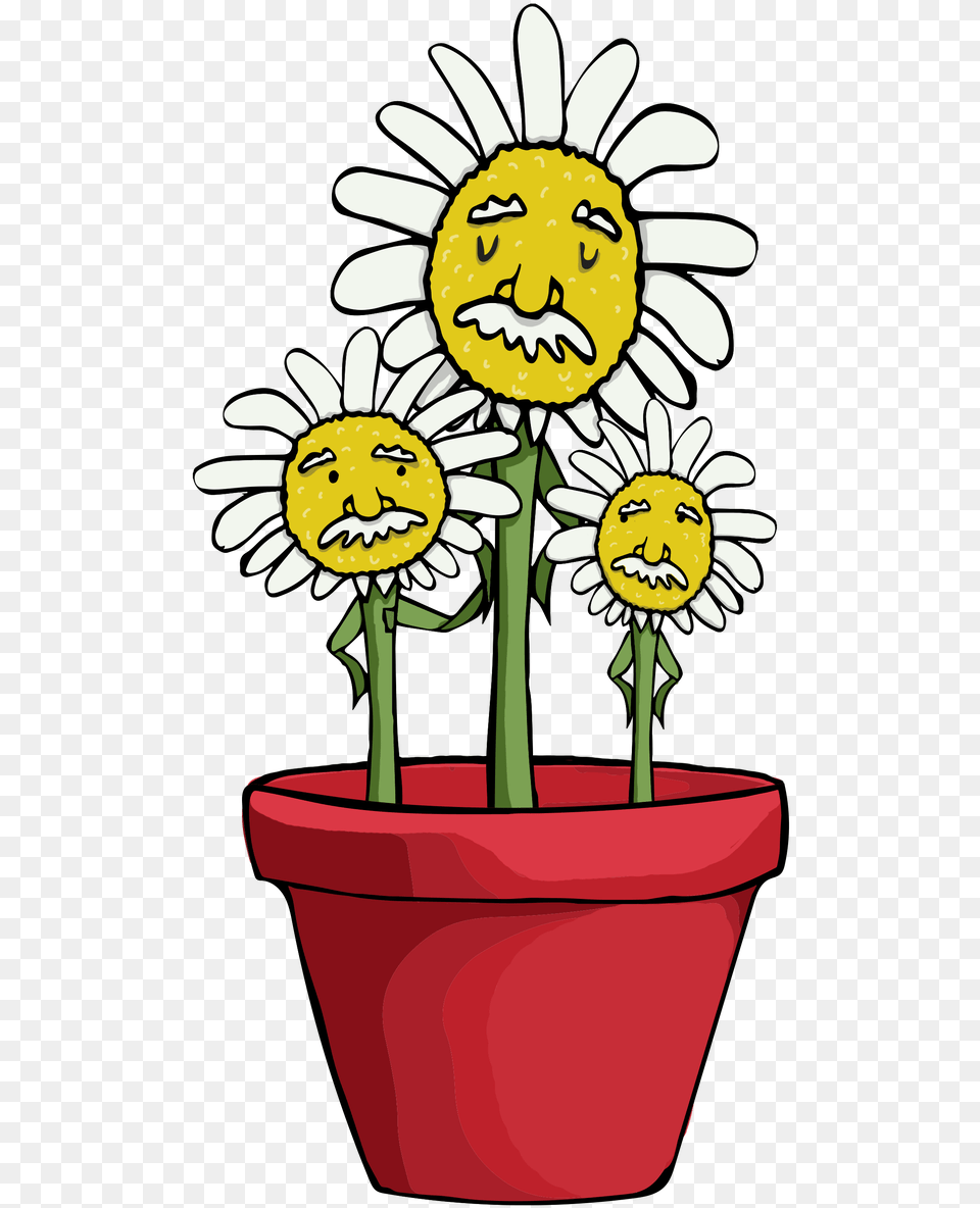 Flowerpot, Daisy, Flower, Plant, Potted Plant Free Png Download
