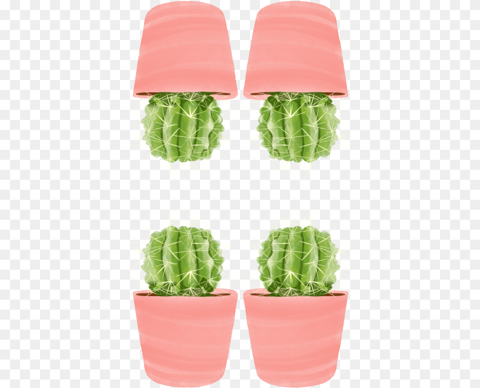 Flowerpot, Plant, Cactus, Potted Plant Png