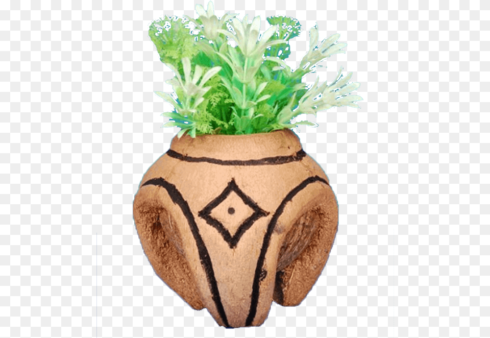 Flowerpot, Jar, Plant, Potted Plant, Pottery Png