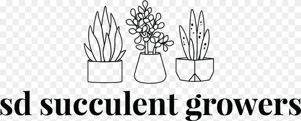 Flowerpot, Plant, Potted Plant, Jar, Pottery Free Png