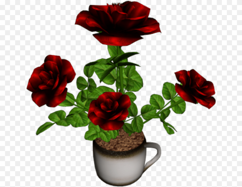 Flowerpot, Flower, Geranium, Plant, Potted Plant Png