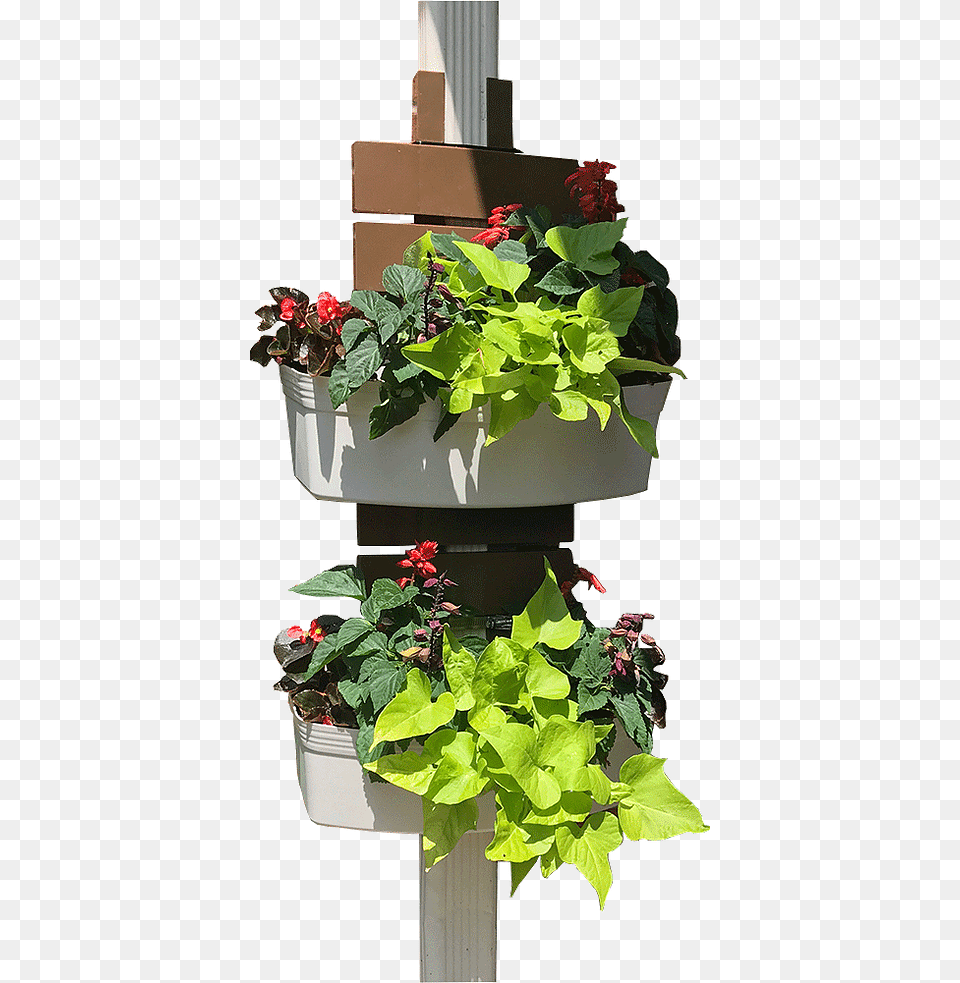 Flowerpot, Vase, Pottery, Potted Plant, Planter Png Image