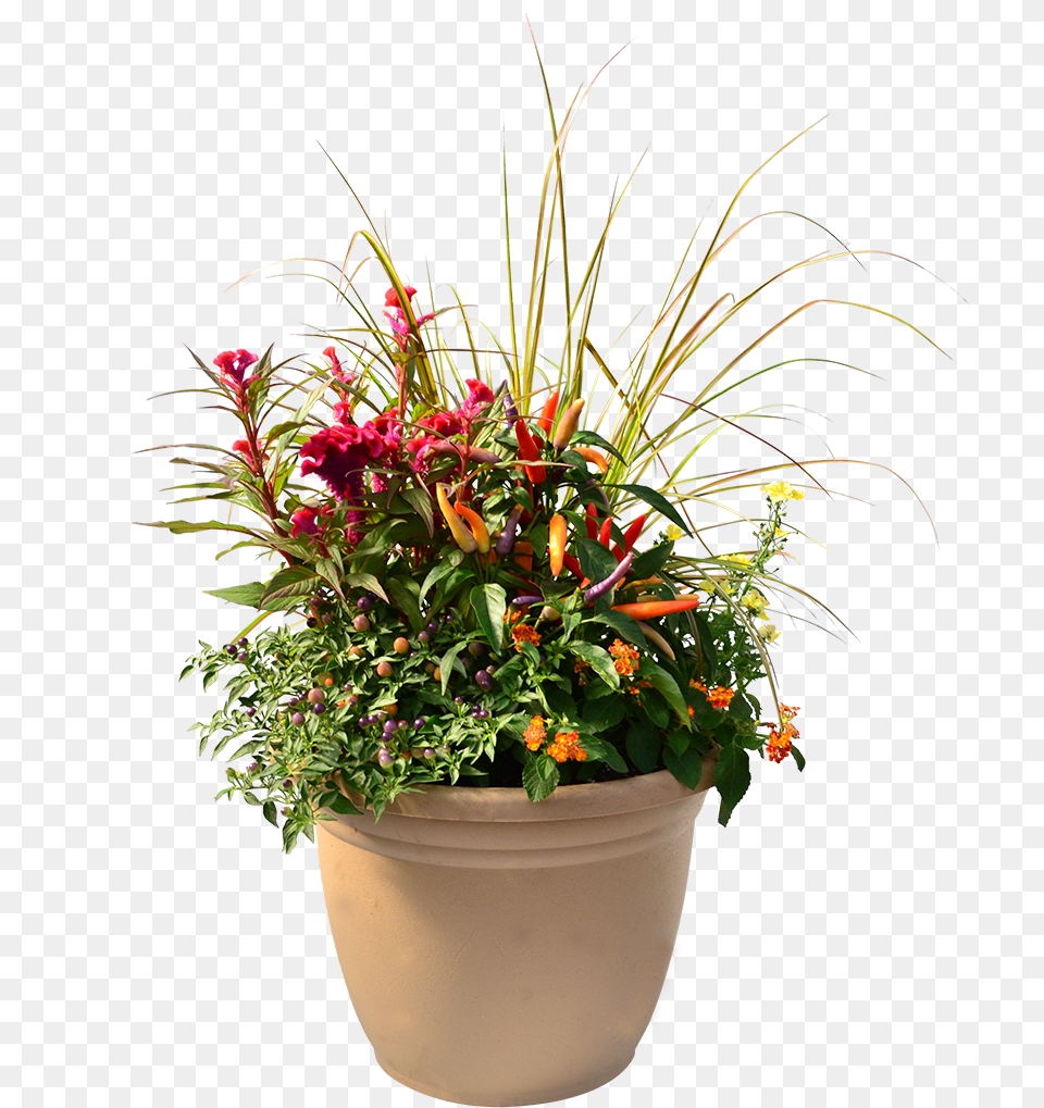 Flowerpot, Flower, Flower Arrangement, Flower Bouquet, Plant Png Image