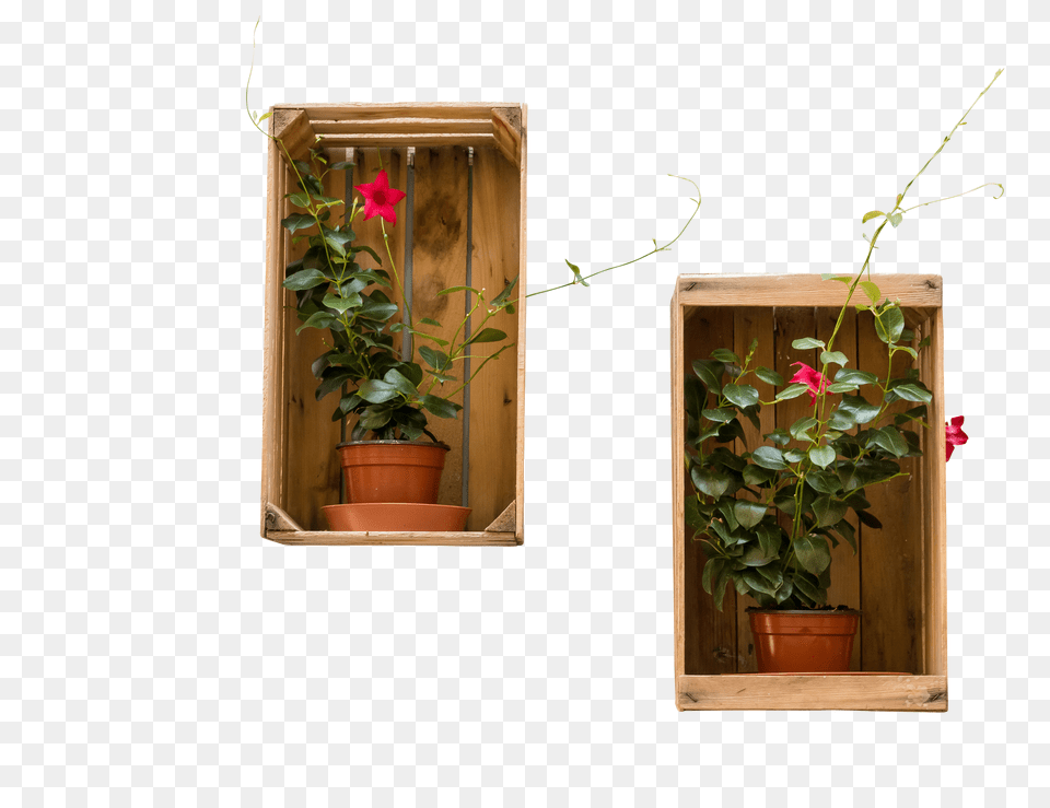 Flowerpot Clip Png