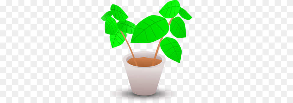 Flowerpot Cactus Plants Thorns Spines And Prickles Drawing, Herbal, Herbs, Leaf, Plant Png Image