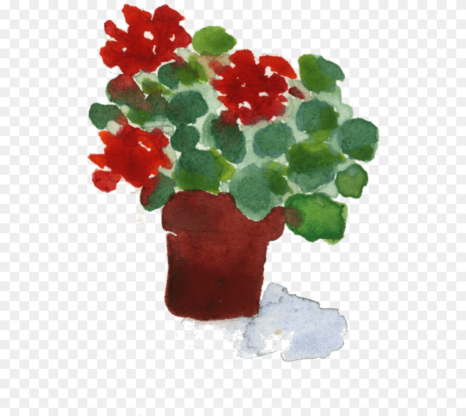 Flowerpot Download Flowerpot, Flower, Geranium, Plant, Art Png