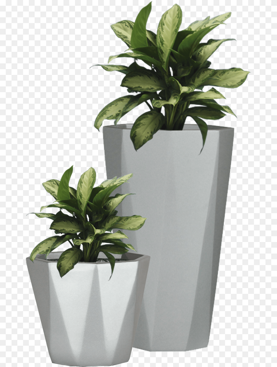 Flowerpot Etsy Wall Decal Succulent Plant With Pot, Jar, Leaf, Planter, Potted Plant Free Png Download