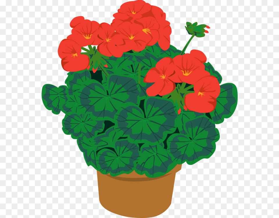 Flowerpot Houseplant Plants Shrub, Flower, Geranium, Plant Png