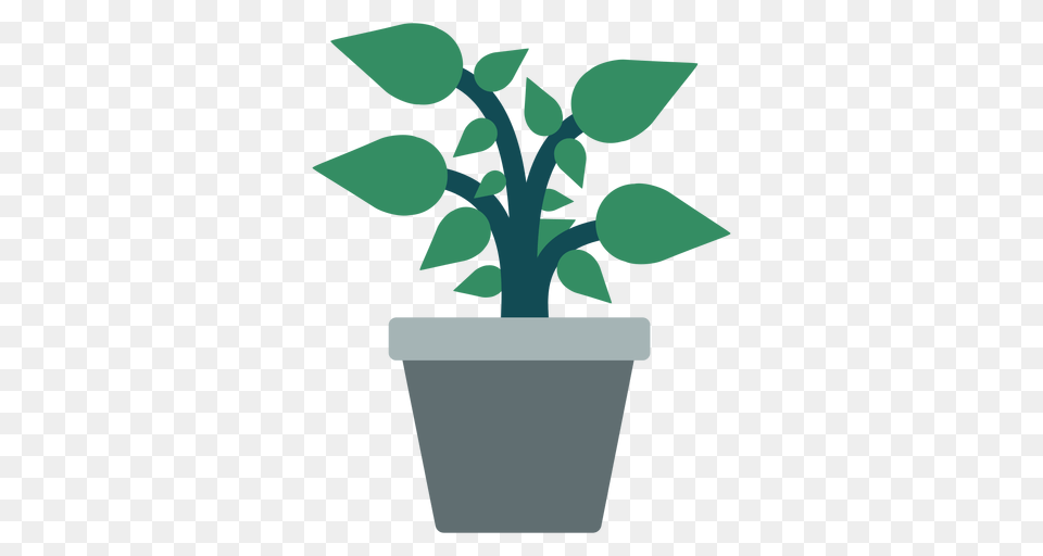Flowerpot With Plant Clipart, Herbal, Herbs, Jar, Leaf Free Transparent Png
