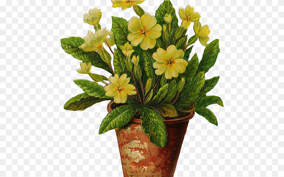 Flowerpots Clipart Beautiful Flower Tattoo Of Yellow Primrose, Flower Arrangement, Leaf, Plant, Potted Plant Free Png Download