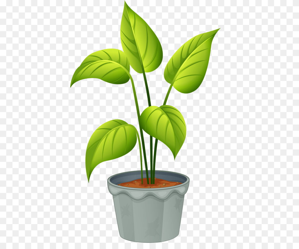 Flowerpots Clipart Flower Row, Leaf, Plant, Potted Plant, Green Free Transparent Png