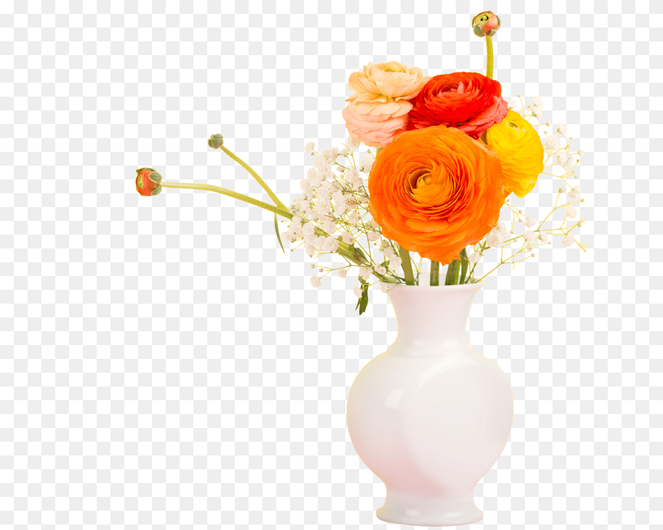Flowers Clip, Vase, Rose, Pottery, Plant Free Png