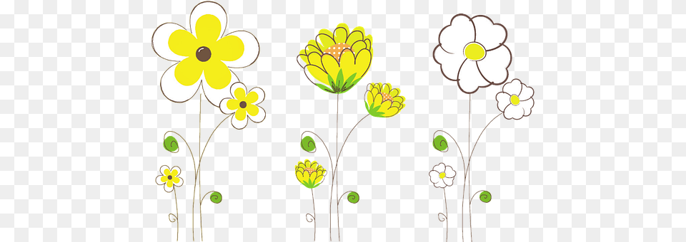 Flowers Art, Daisy, Floral Design, Flower Free Transparent Png