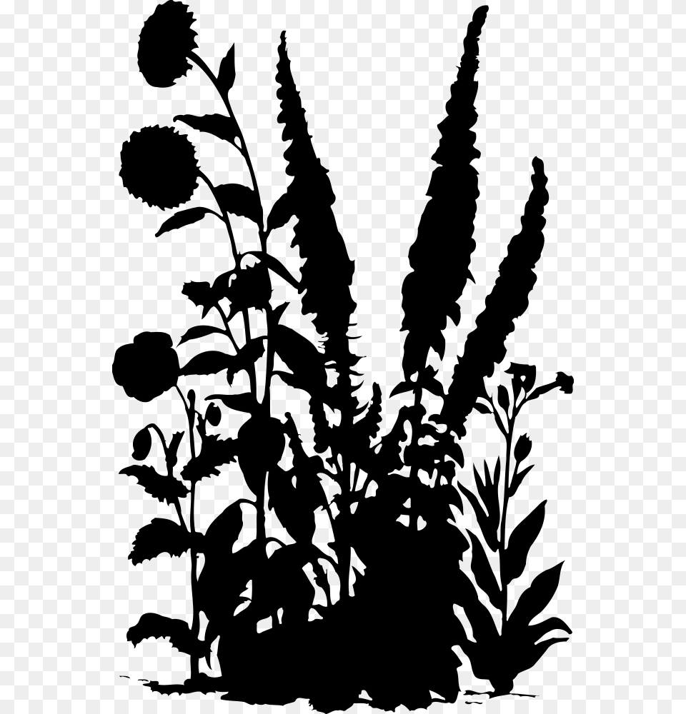 Flowers 15 Silhouette Fern Silhouettes, Gray Free Png Download