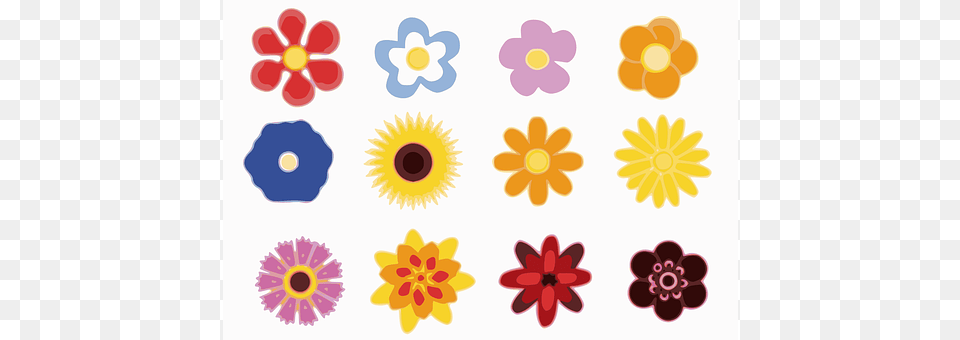 Flowers Anemone, Plant, Flower, Daisy Png Image