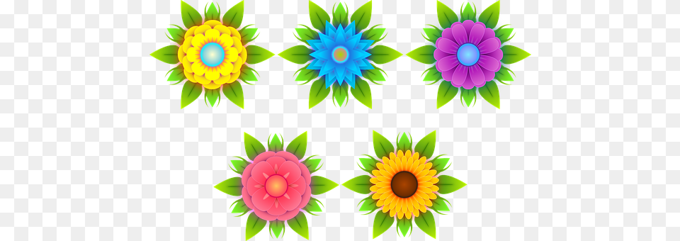 Flowers Art, Graphics, Pattern, Dahlia Free Transparent Png