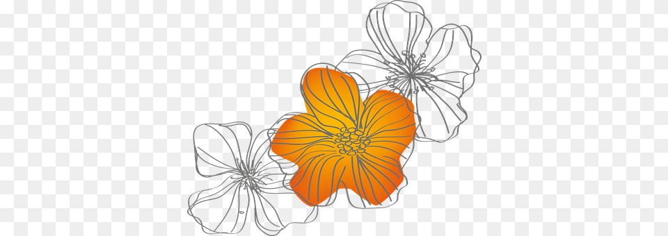 Flowers Art, Pattern, Floral Design, Graphics Free Transparent Png