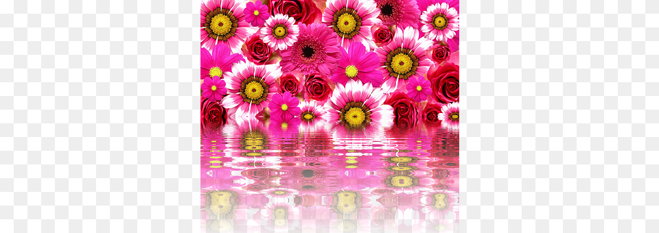 Flowers Flower, Art, Daisy, Floral Design Png