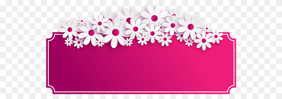 Flowers Daisy, Flower, Plant, Art Free Png