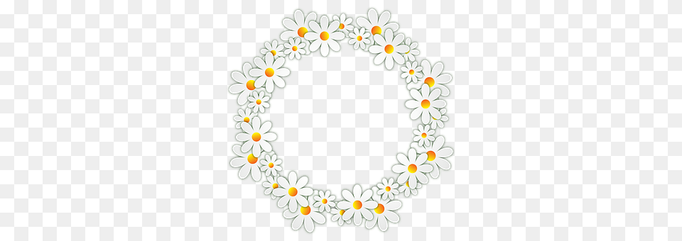 Flowers Plant, Daisy, Flower, Pattern Free Transparent Png