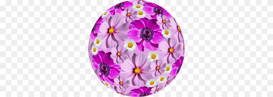 Flowers Purple, Egg, Food, Easter Egg Png Image