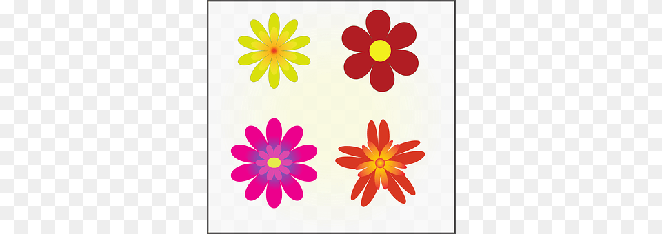 Flowers Art, Daisy, Floral Design, Flower Free Transparent Png