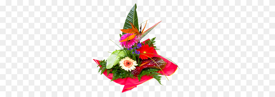Flowers Flower, Flower Arrangement, Flower Bouquet, Plant Png Image