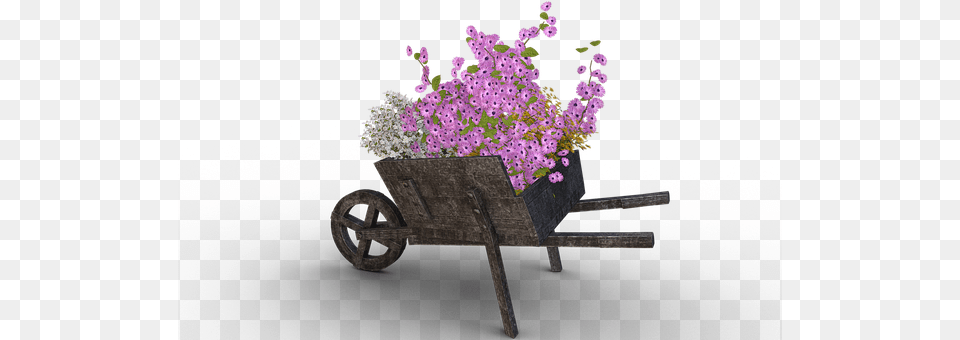 Flowers Flower, Flower Arrangement, Plant, Transportation Free Png Download