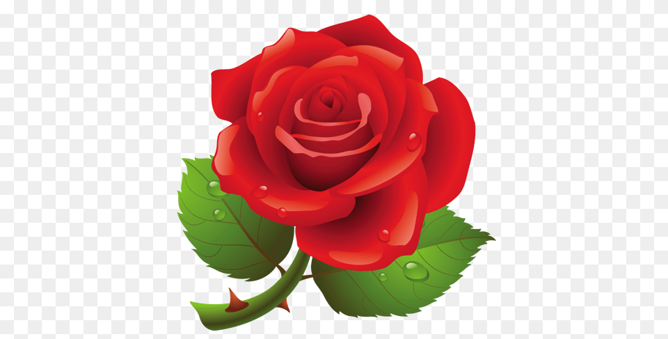 Flowers, Flower, Plant, Rose Free Transparent Png