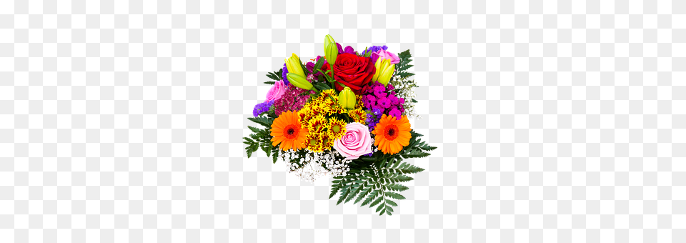 Flowers Art, Floral Design, Flower, Flower Arrangement Free Transparent Png