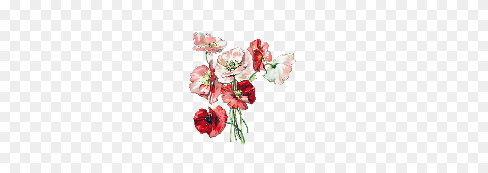 Flowers Flower, Flower Arrangement, Flower Bouquet, Plant Png