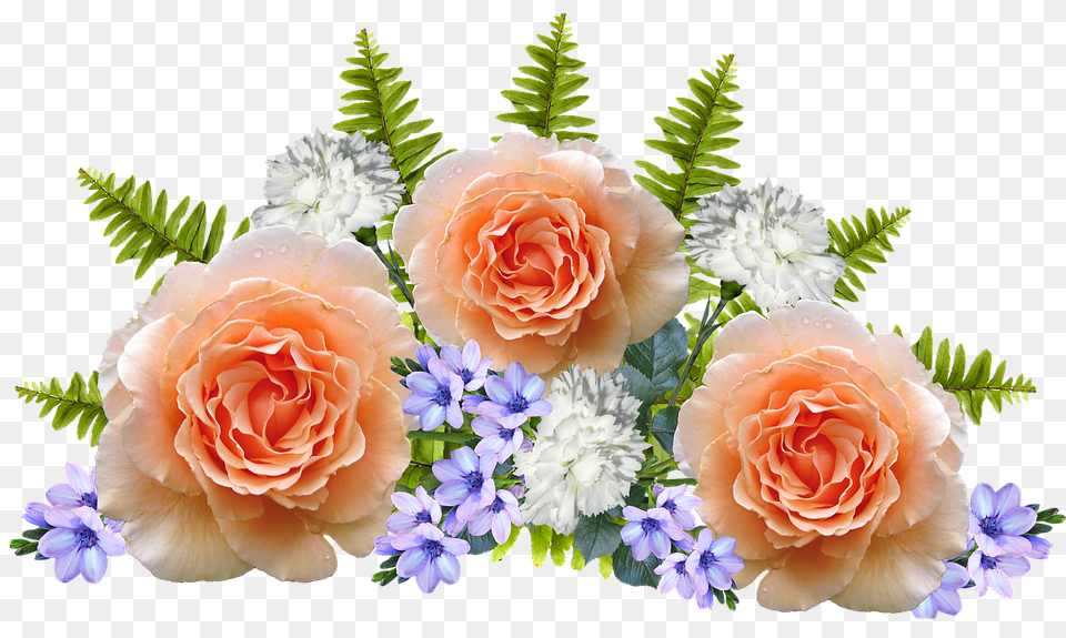 Flowers Flower, Flower Arrangement, Flower Bouquet, Plant Free Png Download