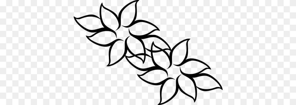 Flowers Gray Free Png Download