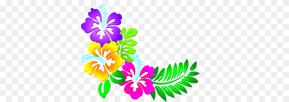 Flowers Art, Floral Design, Graphics, Pattern Free Transparent Png