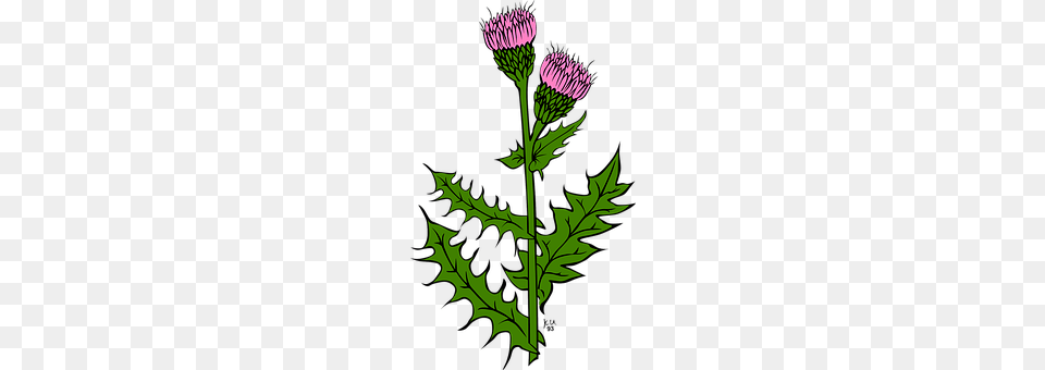 Flowers Flower, Plant, Thistle, Chandelier Free Transparent Png