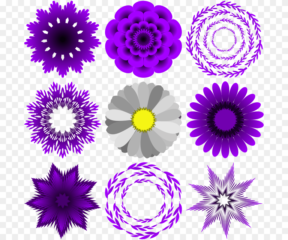 Flowers, Purple, Plant, Flower, Daisy Png Image