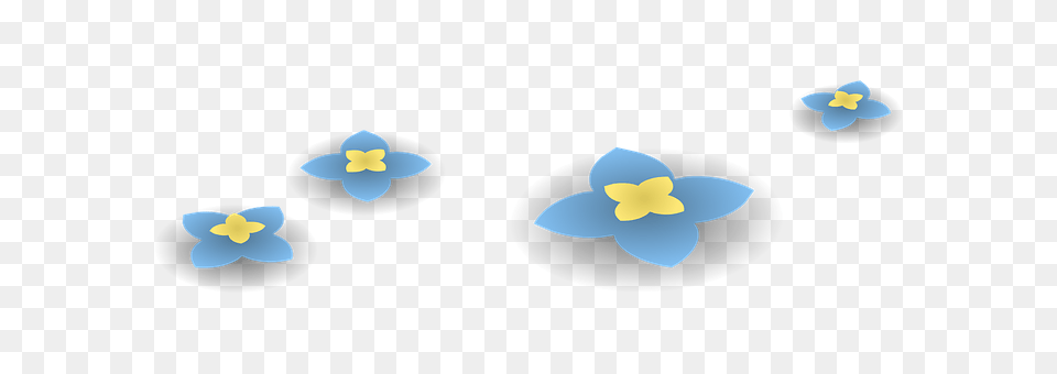 Flowers Plant, Daffodil, Flower, Anemone Png