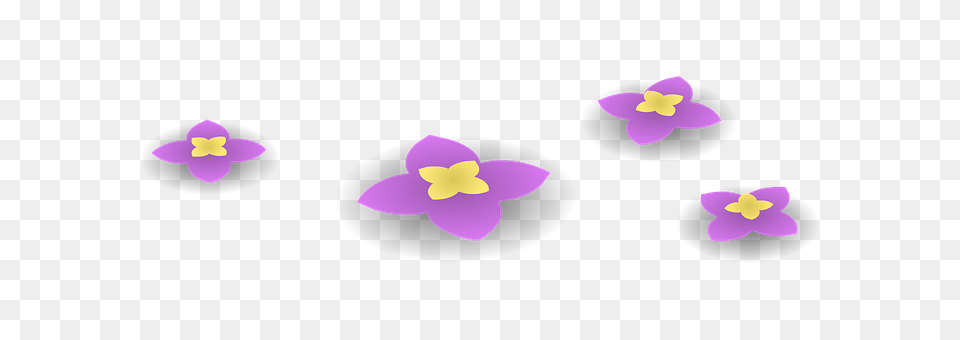 Flowers Flower, Petal, Plant, Purple Free Transparent Png