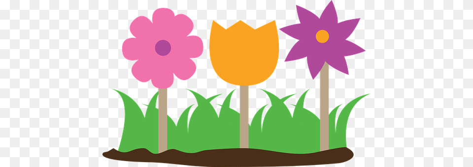 Flowers Plant, Flower, Food, Dessert Free Transparent Png