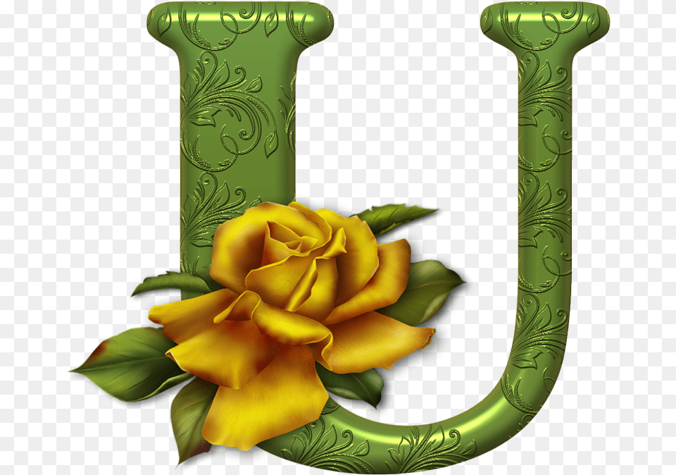 Flowers Alphabet, Flower, Plant, Rose Png Image