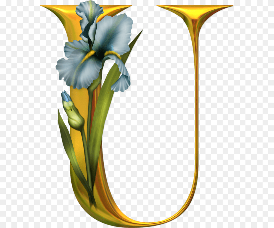Flowers Alphabet Letters U, Vase, Pottery, Plant, Flower Free Png