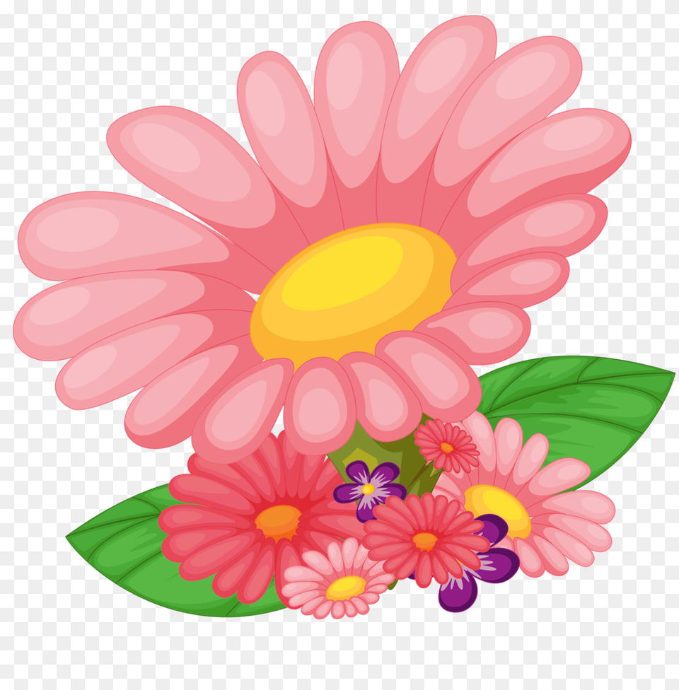 Flowers And Album, Daisy, Flower, Petal, Plant Free Transparent Png